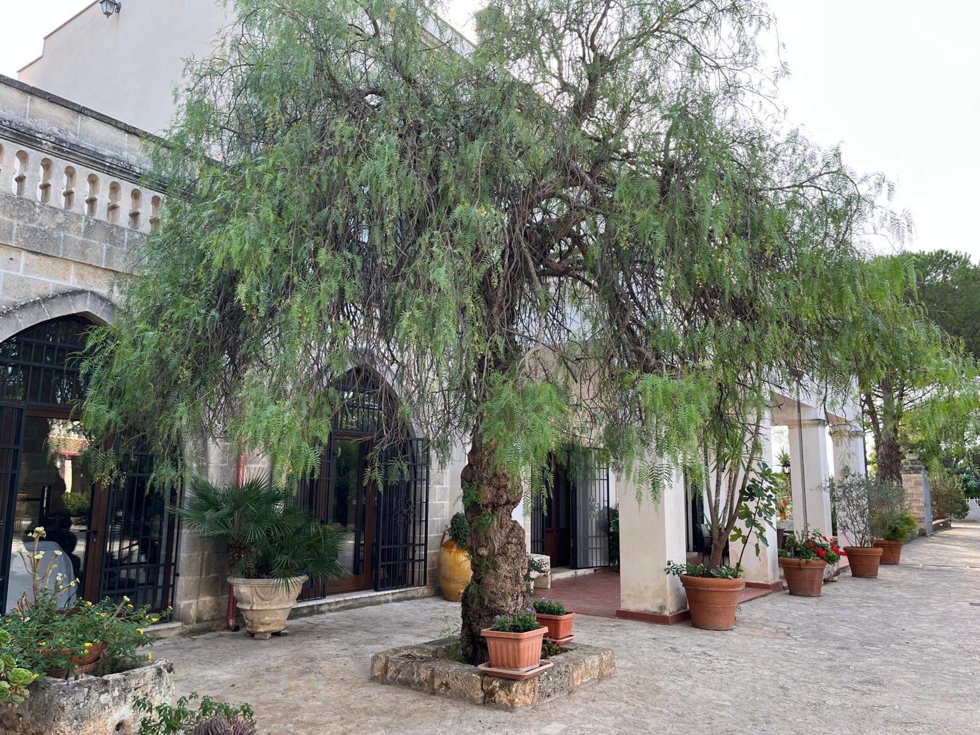 Masseria La Camardia Sava Exterior photo