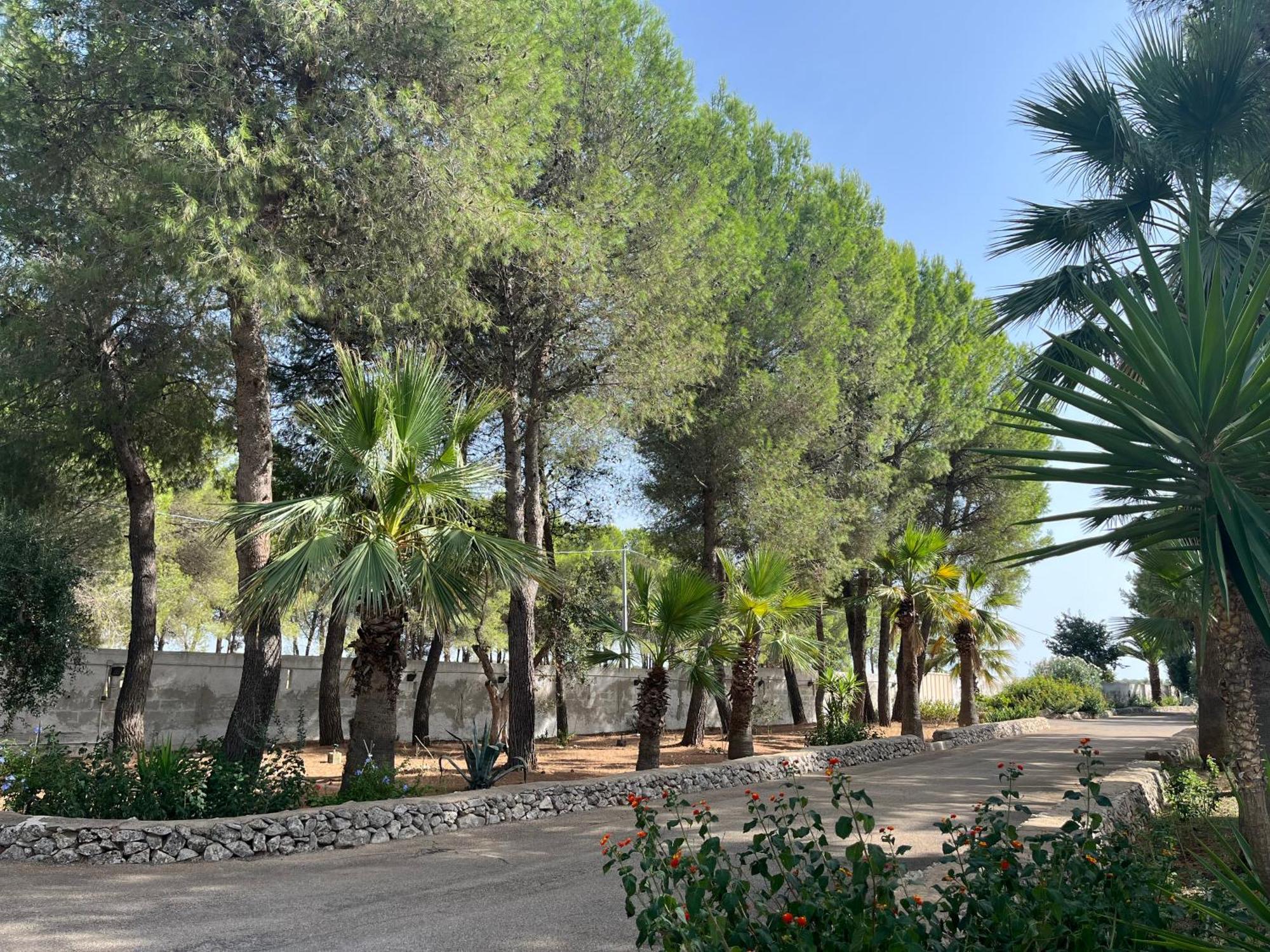 Masseria La Camardia Sava Exterior photo